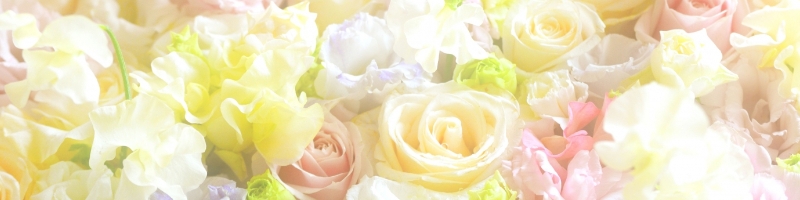 Bobon21���T�C�g